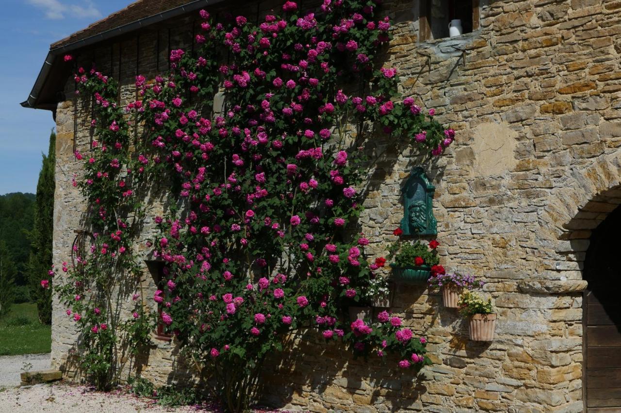 Chambres D'Hotes Secret Pyrenees Lasseube Exterior photo